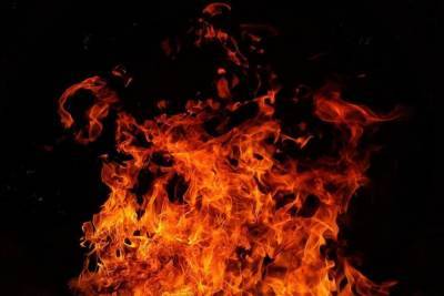 В Пензенской области за сутки потушили 19 пожаров