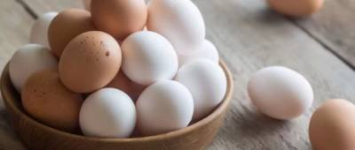 Почему куриные яйца разного цвета: ответ вас может удивить