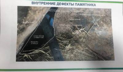 Власти Башкирии заявили, что в памятнике Салавату Юлаеву птицы свили гнёзда