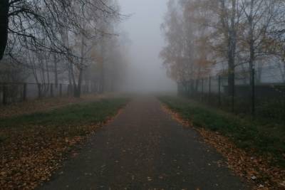 Густой туман окутал Ленобласть