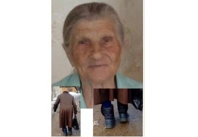 Очень нужна помощь! Смоленские сальваровцы продолжают искать 91-летнюю «потеряшку»