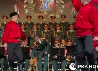 Собака поучаствовала в танце с саблями на концерте ансамбля им. Александрова в Турции