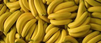 Почему специалисты рекомендуют есть бананы перед сном