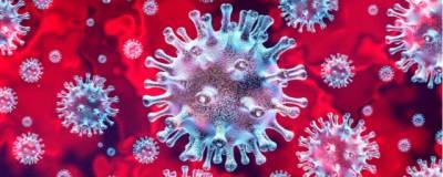 Найдено мощное антитело, защищающее от всех штаммов коронавируса
