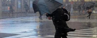 Жителей Волгоградской области предупредили о грозах, ливнях и крепком ветре