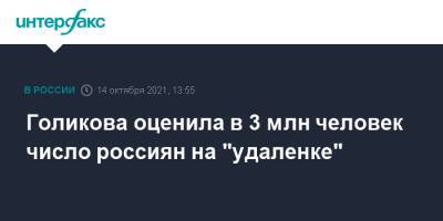 Голикова оценила в 3 млн человек число россиян на "удаленке"