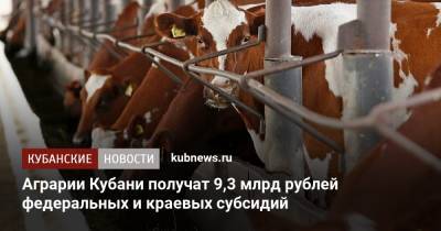 Аграрии Кубани получат 9,3 млрд рублей федеральных и краевых субсидий
