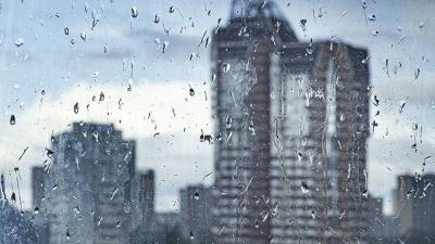 Метеоролог сообщил об ослаблении дождей в Москве к 15 октября
