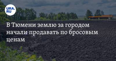 В Тюмени землю за городом начали продавать по бросовым ценам