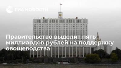 Правительство выделит пять миллиардов рублей в 2022 году на поддержку овощеводства