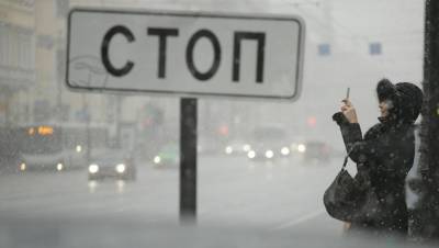 Первый снег может выпасть в Петербурге уже в октябре