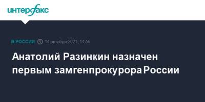 Анатолий Разинкин назначен первым замгенпрокурора России