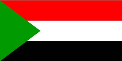 В Судане революционные силы призвали начать протесты и свергнуть правительство