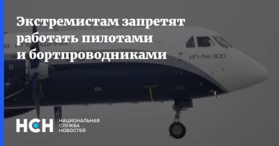 Владимир Груздев - Экстремистам запретят работать пилотами и бортпроводниками - nsn.fm - Россия