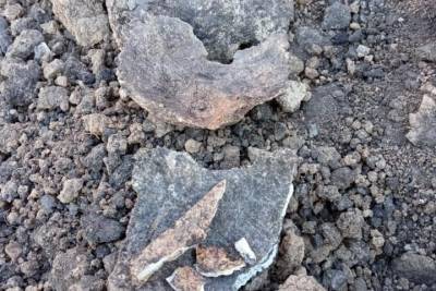 В Тамбовской области водопроводчики обнаружили захоронение эпохи бронзового века