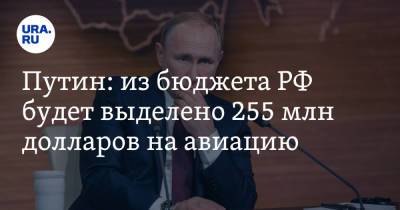 Путин: из бюджета РФ будет выделено 255 млн долларов на авиацию