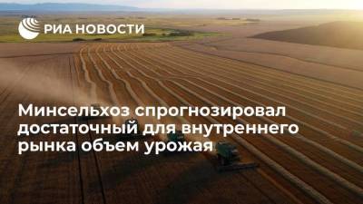 Минсельхоз: урожая 2021 будет достаточно для удовлетворения потребностей российского рынка