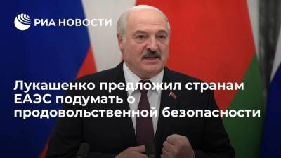 Лукашенко предложил странам ЕАЭС внедрить систему долгосрочного планирования в АПК