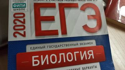 Об отсутствии технологий для дистанционной сдачи ЕГЭ заявили в Рособрнадзоре