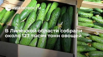 В Липецкой области собрали около 123 тысяч тонн овощей