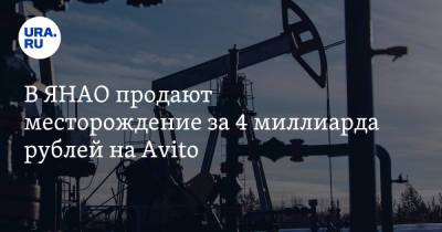 В ЯНАО продают месторождение за 4 миллиарда рублей на Avito
