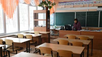 В Самарской области продлили дистанционное обучение для школьников 6—11-х классов