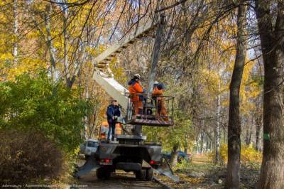 В Рязани спилили 33 аварийных дерева