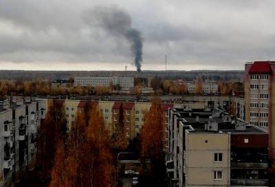 СМИ: В Тосно горит нефтепровод