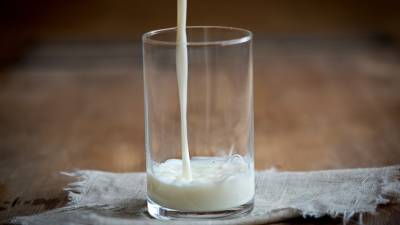 Диетолог Нефёдова рассказала о безопасной порции молочных продуктов в рационе