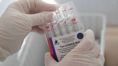 В Армению доставили 100 тысяч доз вакцины «Спутник V»