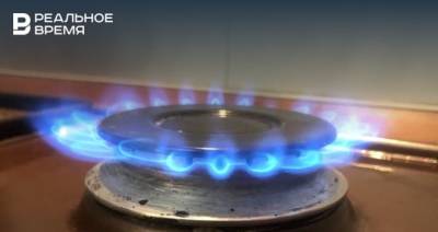 Правительство ФРГ отвергает подозрения в несоблюдении Россией контрактов на поставки газа