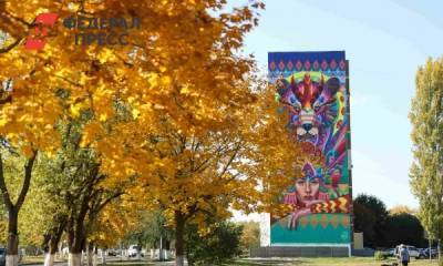 Художники украсили дома ставропольского поселка в рамках фестиваля «Культурный ход»