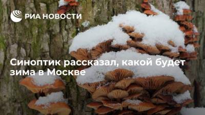 Синоптик Тишковец: зима в Москве будет снежной и умеренно холодной