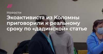Экоактивиста из Коломны приговорили к реальному сроку по «дадинской» статье
