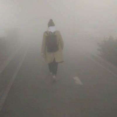 Дым от тлеющего в Екатеринбурге торфяника добрался до Челябинской области