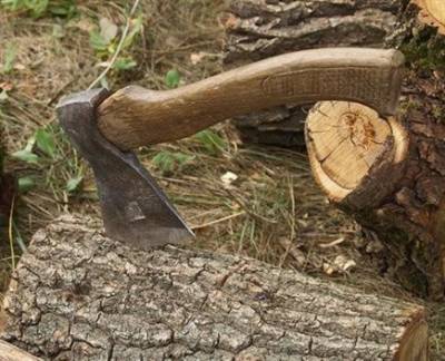 Димитровградец, нарубивший деревья на дрова, пойдет под суд
