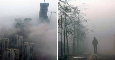 Эколог рассказала, что может спасти Екатеринбург от смога - ren.tv - Екатеринбург - Экология