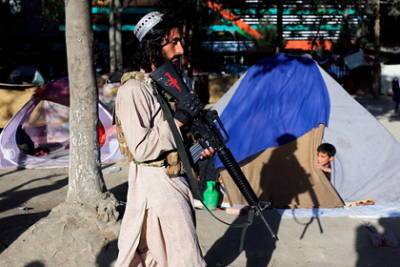 Забихулла Муджахида - Талибы запретили показывать тела казненных преступников - lenta.ru - Россия - Афганистан