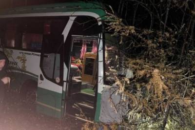 Пассажирский автобус в Хабкрае врезался в дерево из-за уснувшего водителя