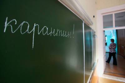 В Курской области карантин соблюдают 5500 учащихся школ