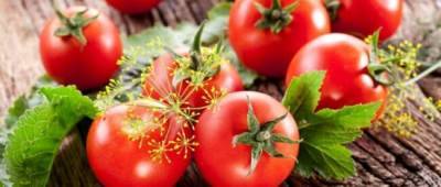 Тепличные огурцы и помидоры могут рекордно подорожать