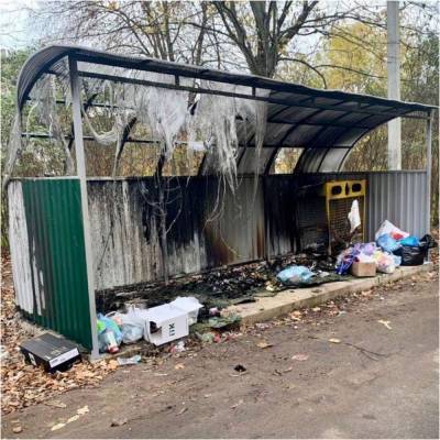 В Луге сожгли площадку для раздельного сбора мусора — фото