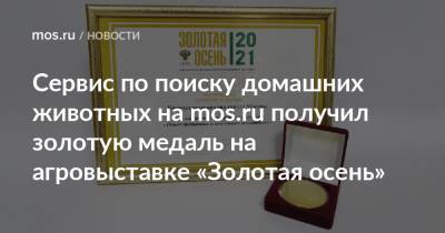 Сервис по поиску домашних животных на mos.ru получил золотую медаль на агровыставке «Золотая осень»