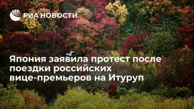 Глава МИД Мотэги: Япония заявила протест после поездки вице-премьеров России на Итуруп