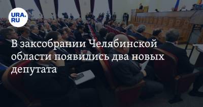 В заксобрании Челябинской области появились два новых депутата