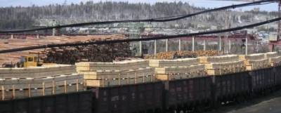 В Иркутске возбудили 15 уголовных дел за контрабанду леса