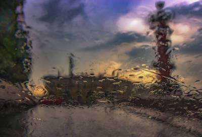 Циклон "Герольд" принесёт в Петербург дожди и порывистый ветер 15 октября