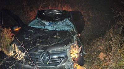 В Башкирии в столкновении с лосем погибли водитель и пассажир