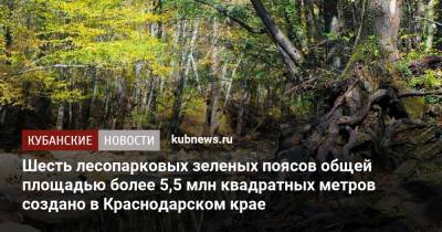 Шесть лесопарковых зеленых поясов общей площадью более 5,5 млн квадратных метров создано в Краснодарском крае