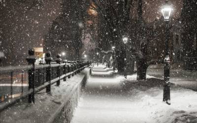 Зима близко: на выходных в Ленобласти ожидается снег
